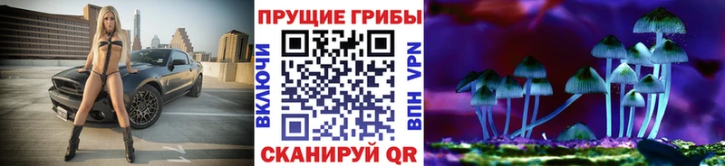 кракен как зайти  Красногорск  Галлюциногенные грибы Psilocybine cubensis  дарнет шоп 