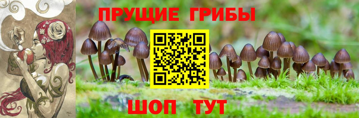 Псилоцибиновые грибы мухоморы  Вход с VPN  где продают наркотики  Красногорск  Галлюциногенные грибы прущие грибы 